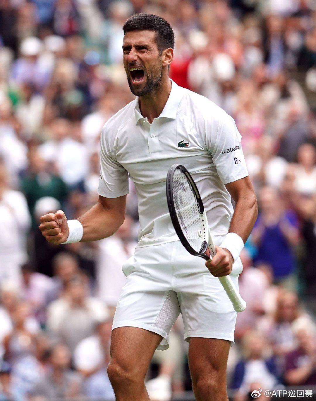 结的掌控力 结的掌控力